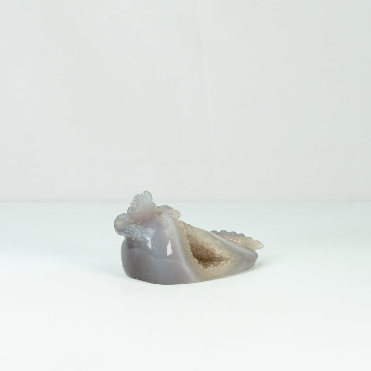 Agate Geode Crocodile