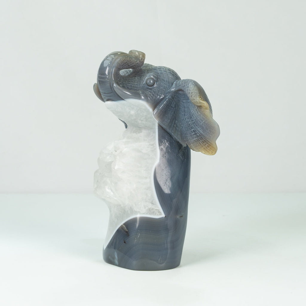 Agate Geode Fly  Elephant freefrom
