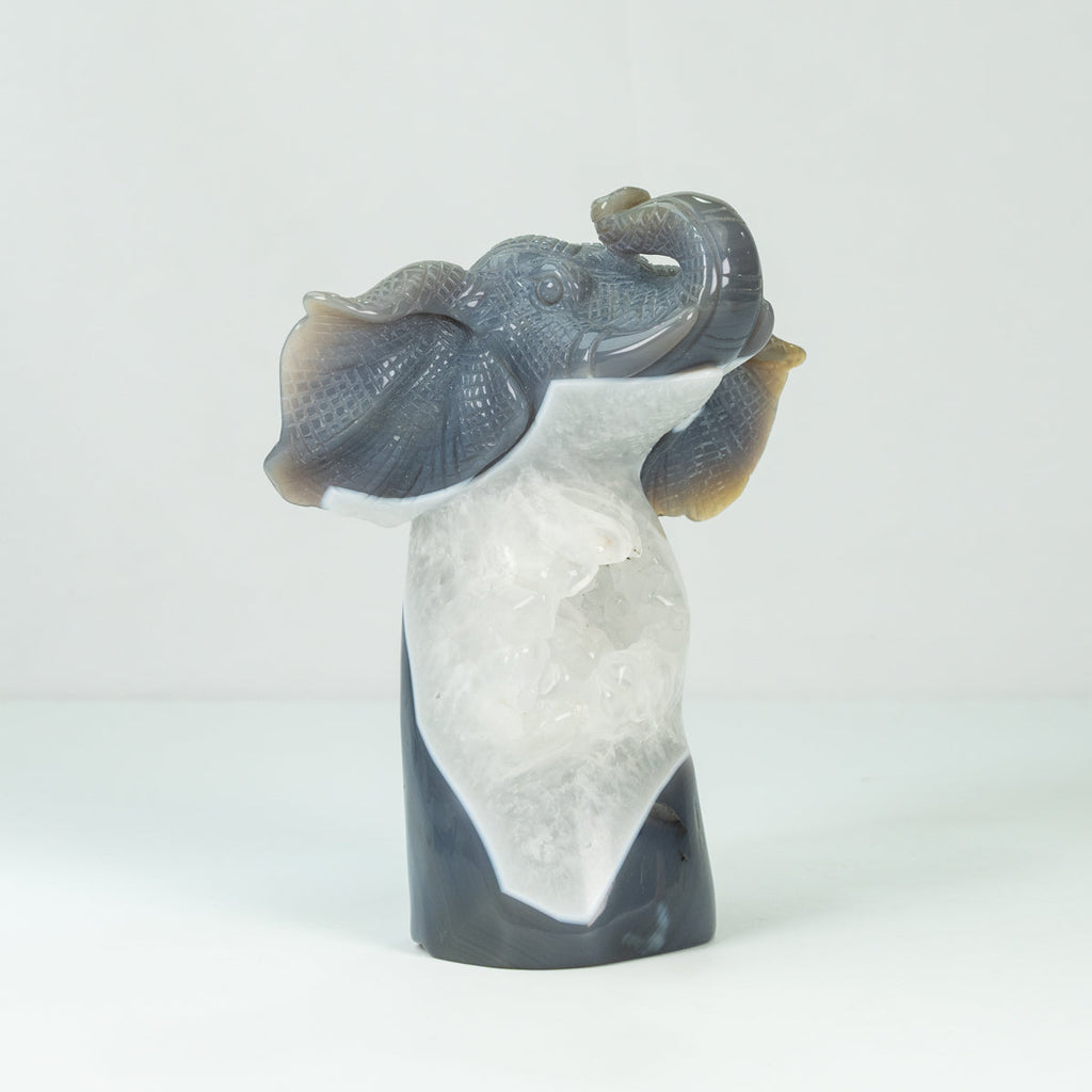 Agate Geode Fly  Elephant freefrom