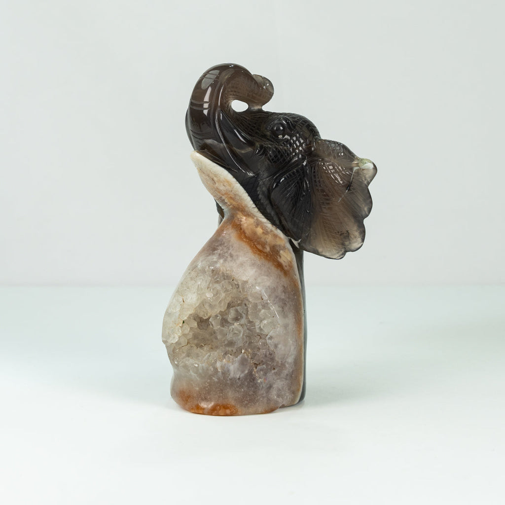 Agate Geode Fly  Elephant  Freefrom