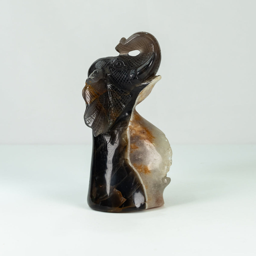 Agate Geode Fly  Elephant  Freefrom