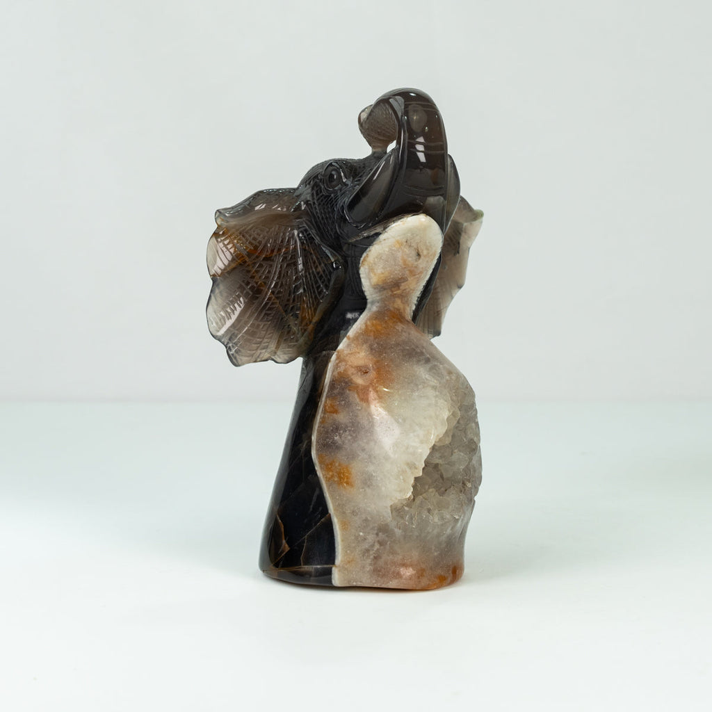 Agate Geode Fly  Elephant  Freefrom