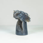 Agate Geode Fly  Elephant  Freefrom