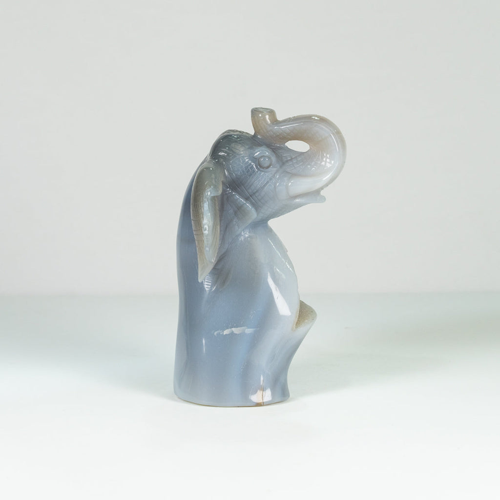 Agate Geode Fly  Elephant  Freefrom