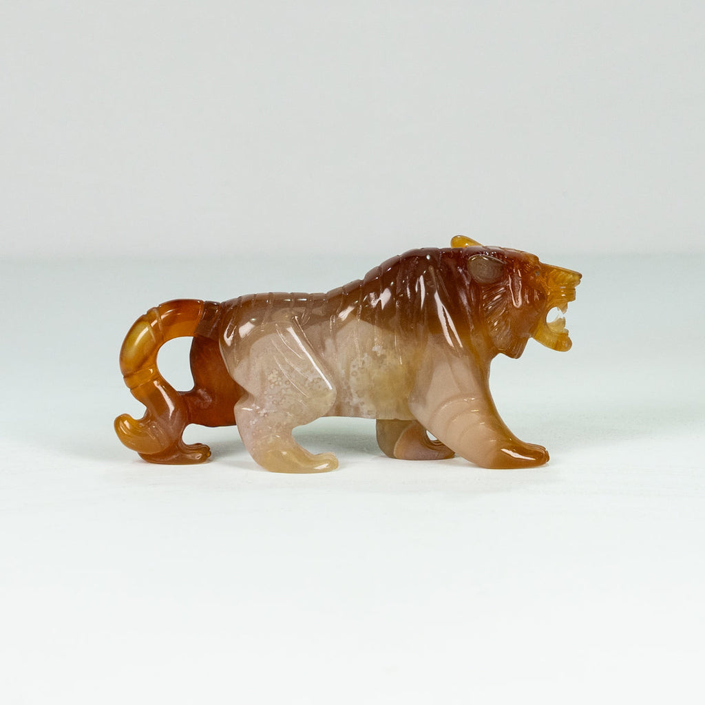 Agate Geode Tiger