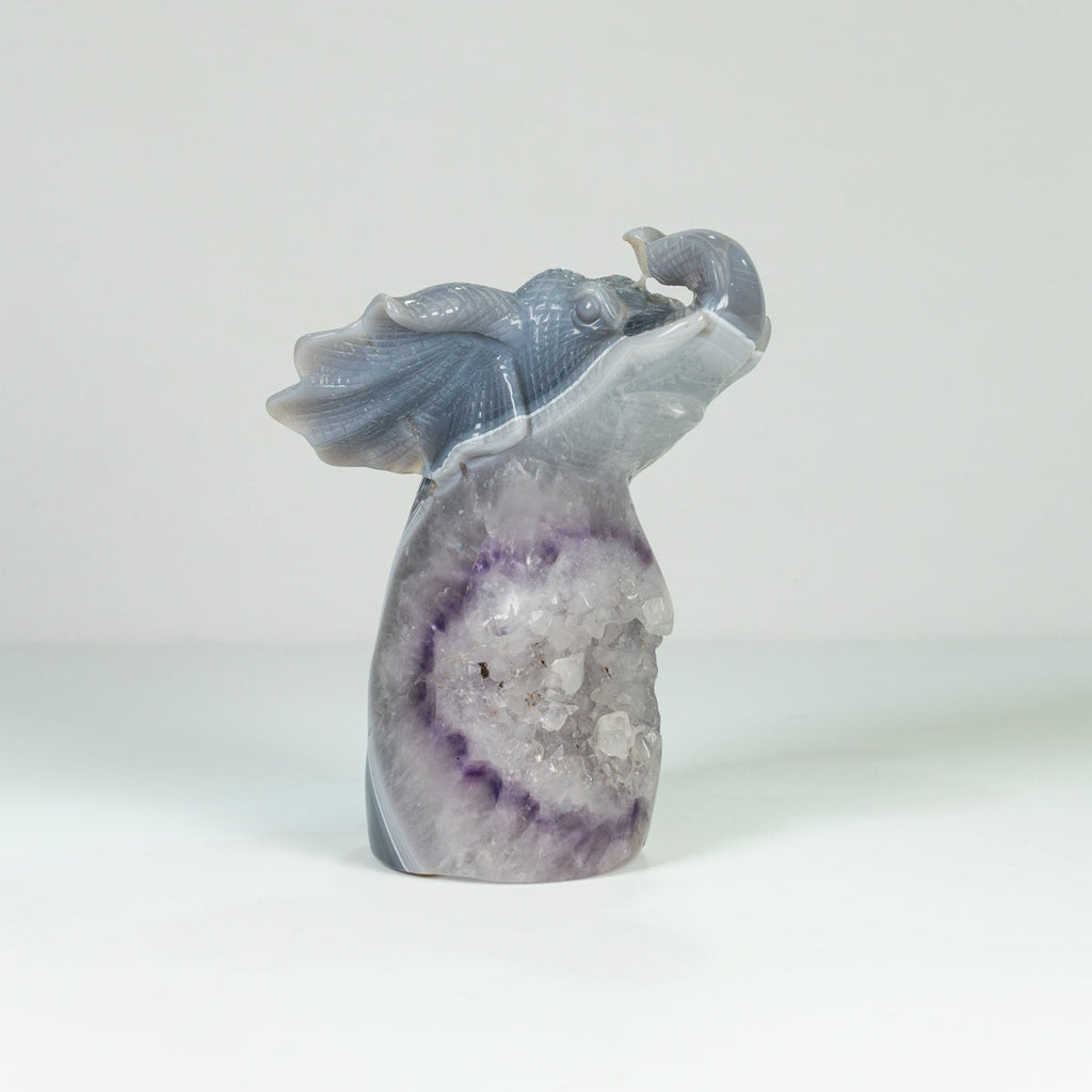 Agate Geode Fly  Elephant Freefrom