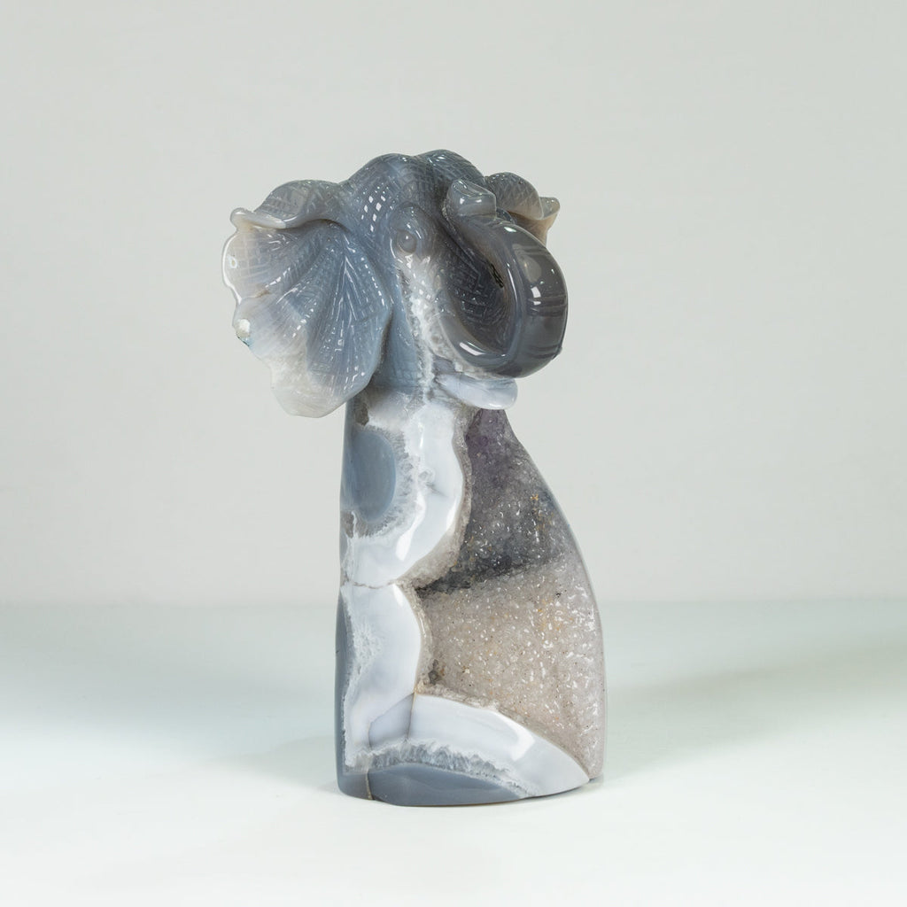 Agate Geode Fly  Elephant  Freefrom