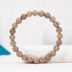 Chrysanthemum Fossil  Bracelet