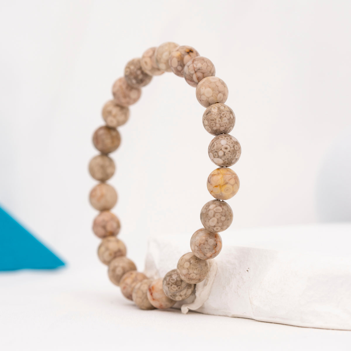 Chrysanthemum Fossil  Bracelet