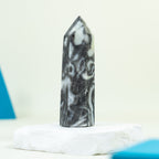 Shell Stone Tower Point