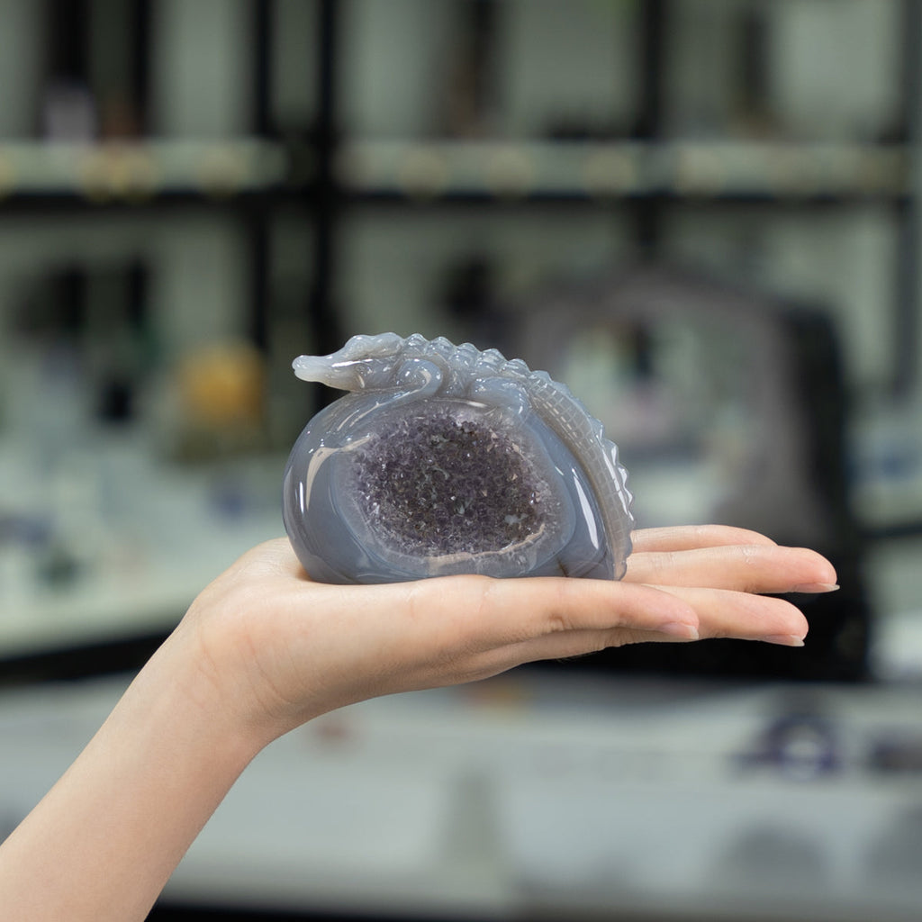 Agate Geode Crocodile