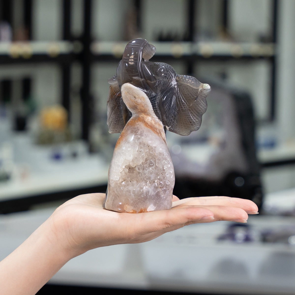 Agate Geode Fly  Elephant  Freefrom