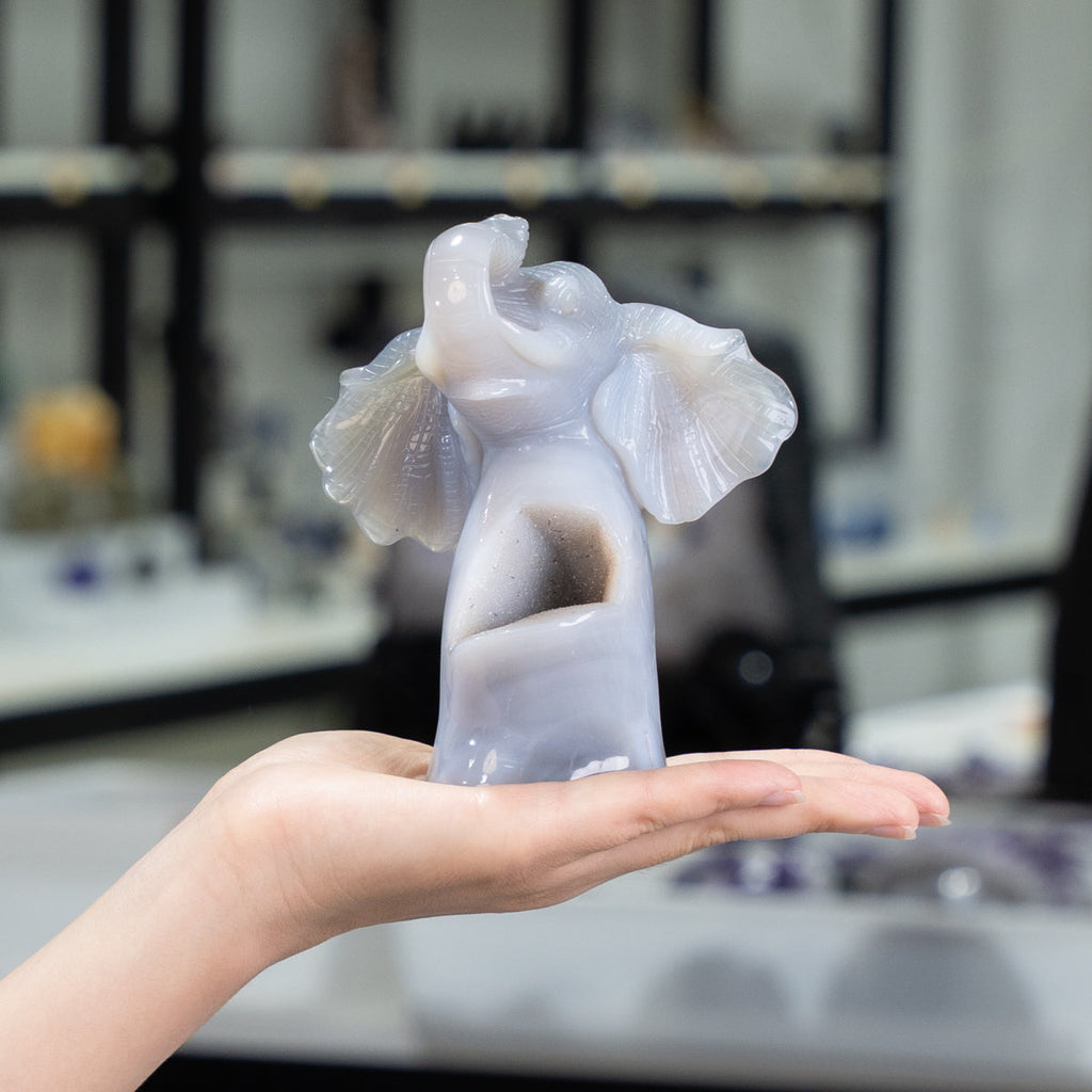 Agate Geode Fly  Elephant  Freefrom