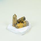 Bumblebee Japsper Tower Point