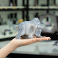 Agate Geode Bull