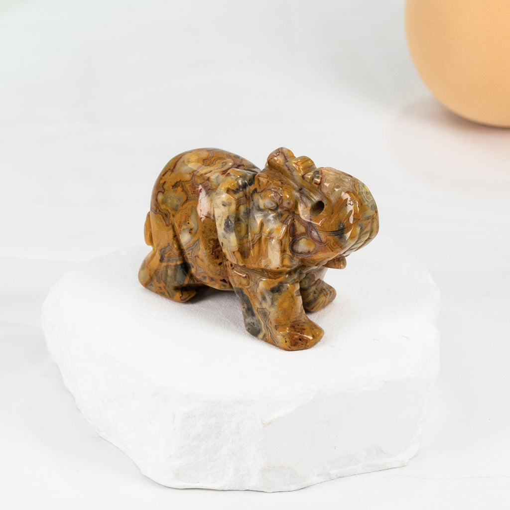 Elephant Carving