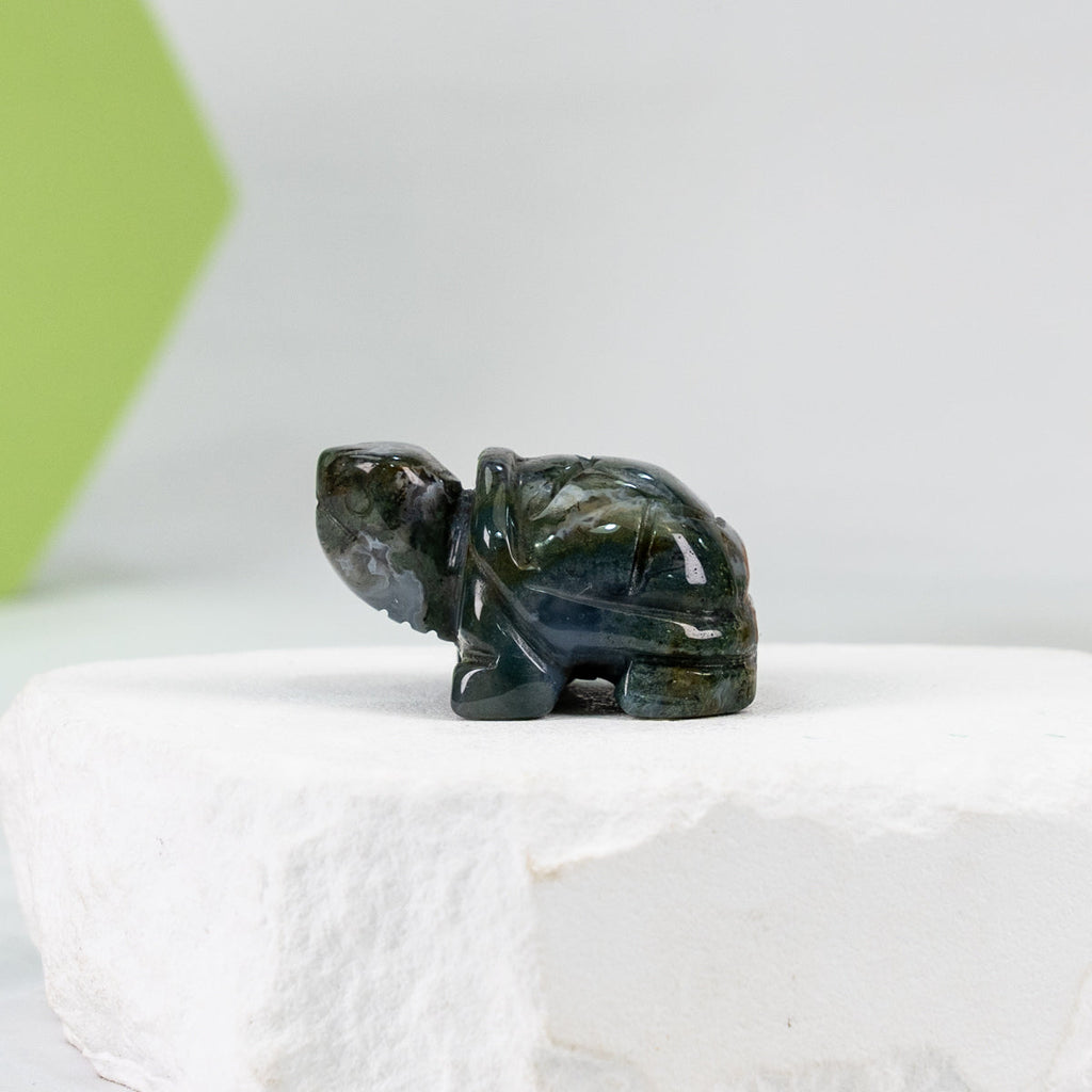 Turtle Carving