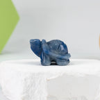 Turtle Carving