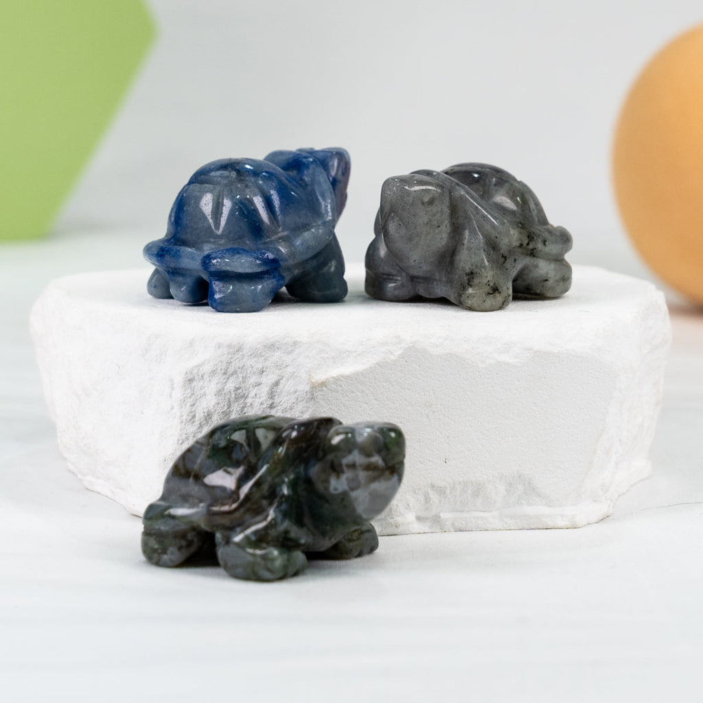 Turtle Carving