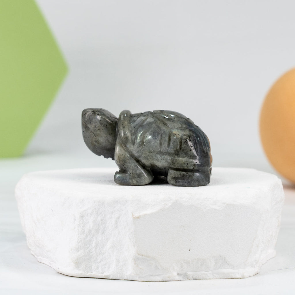 Lab Turtle Carving(Labrodorite)