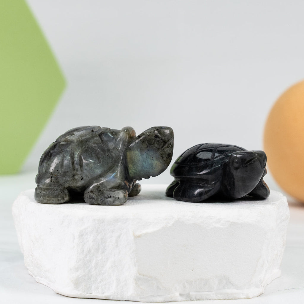Lab Turtle Carving(Labrodorite)