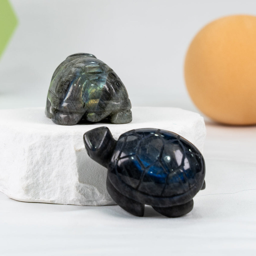 Lab Turtle Carving(Labrodorite)