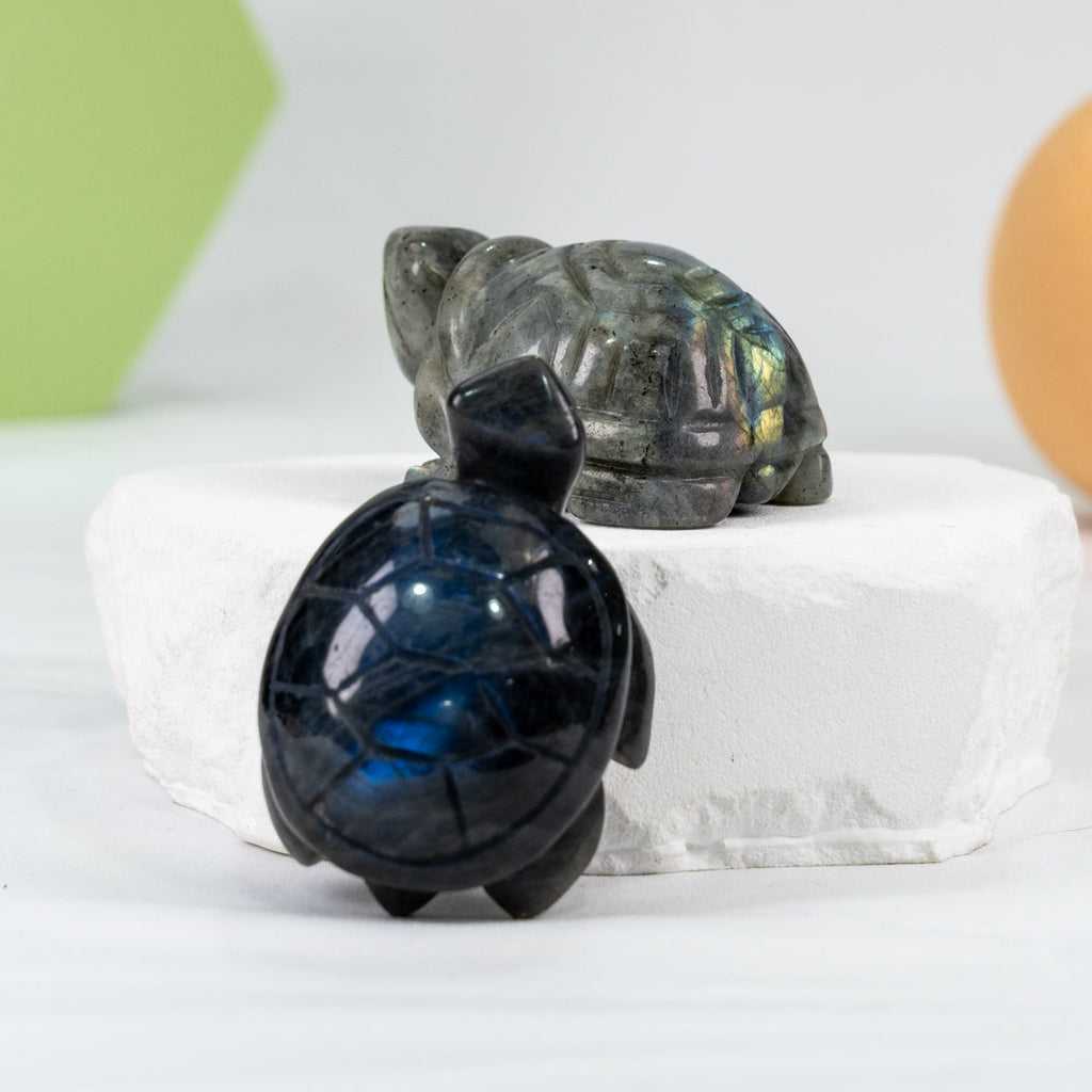 Lab Turtle Carving(Labrodorite)