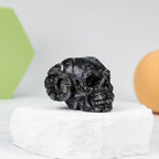 Claw Skull Carving