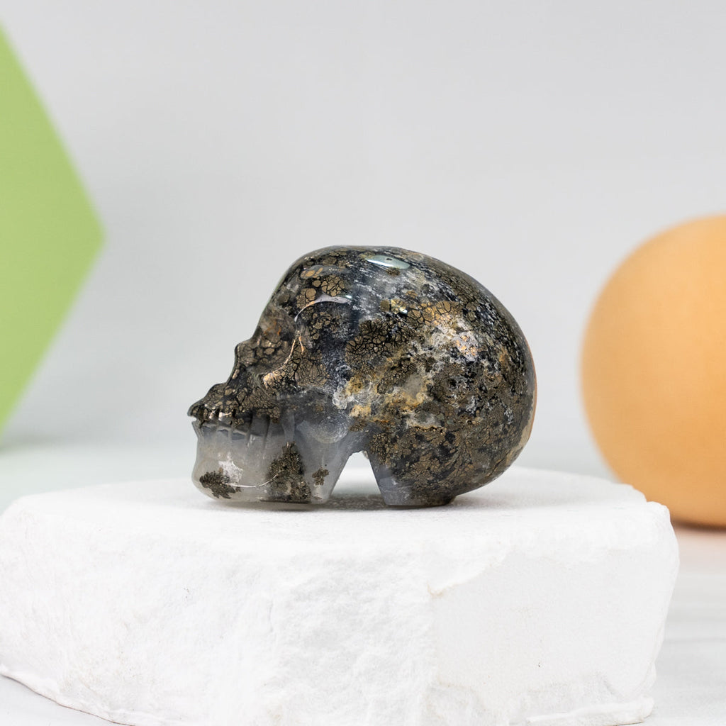Skull