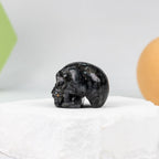 Skull Carving