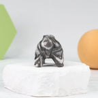 Polar bear Carving