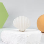 Shell carving