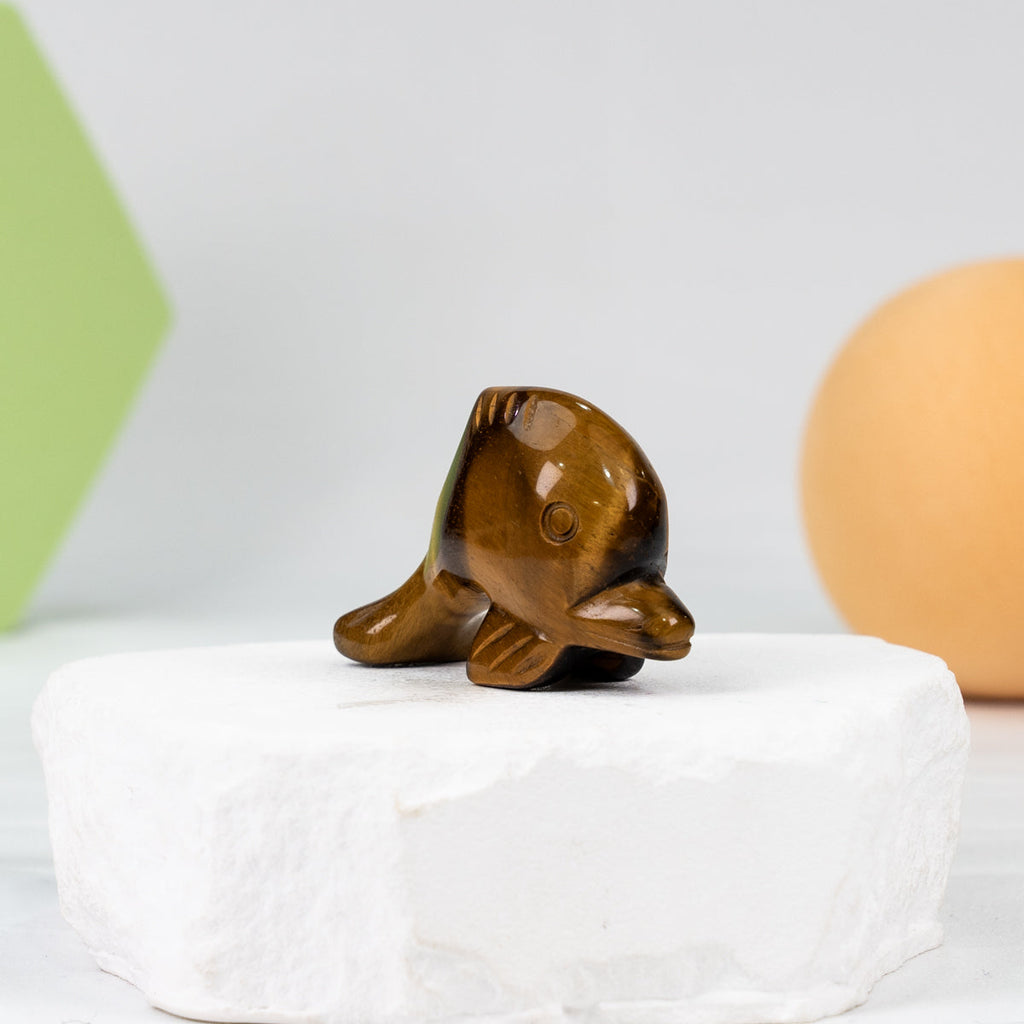 Dolphin  Carving
