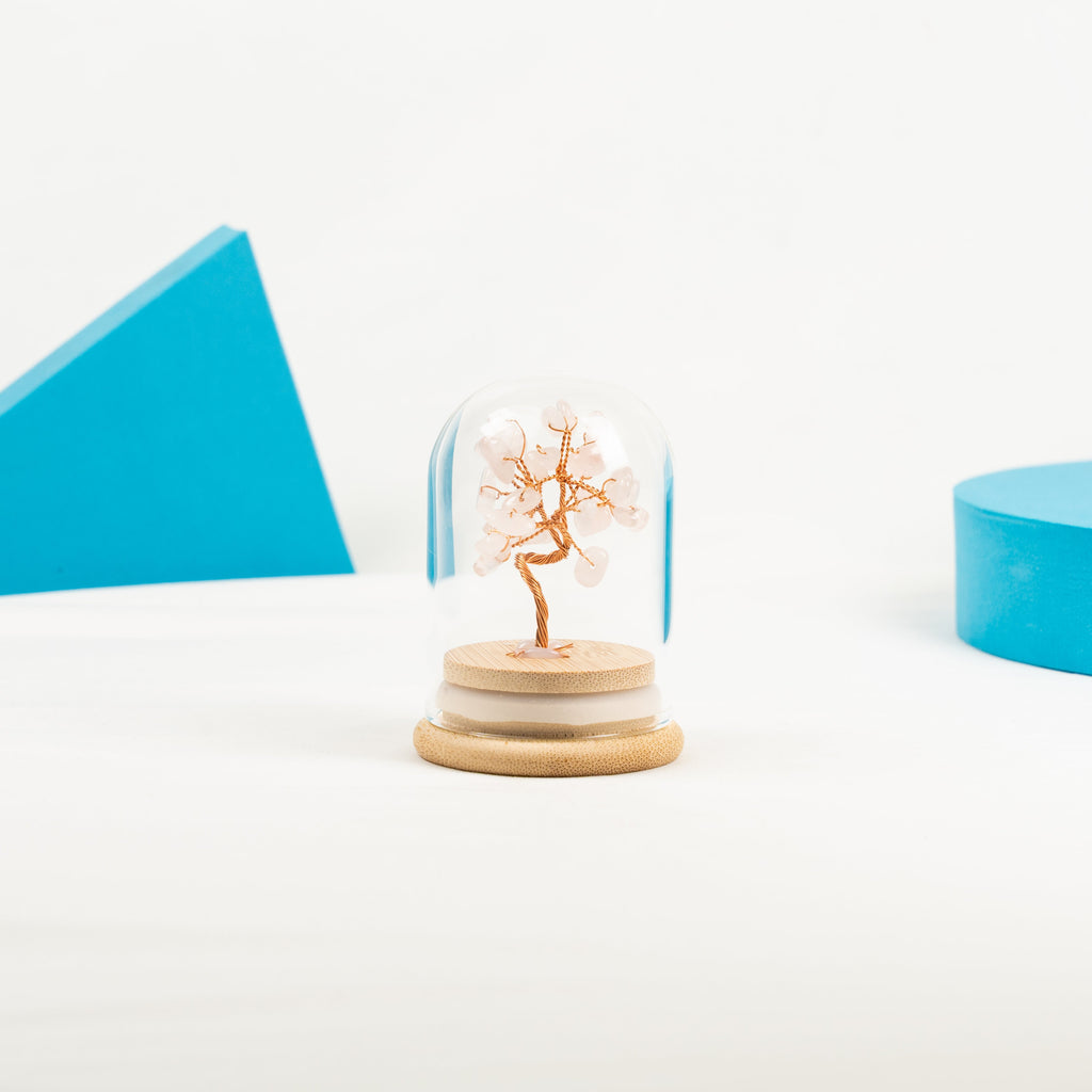 Mini Bottle Wish Tree