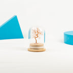 Mini Bottle Wish Tree