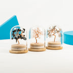 Mini Bottle Wish Tree