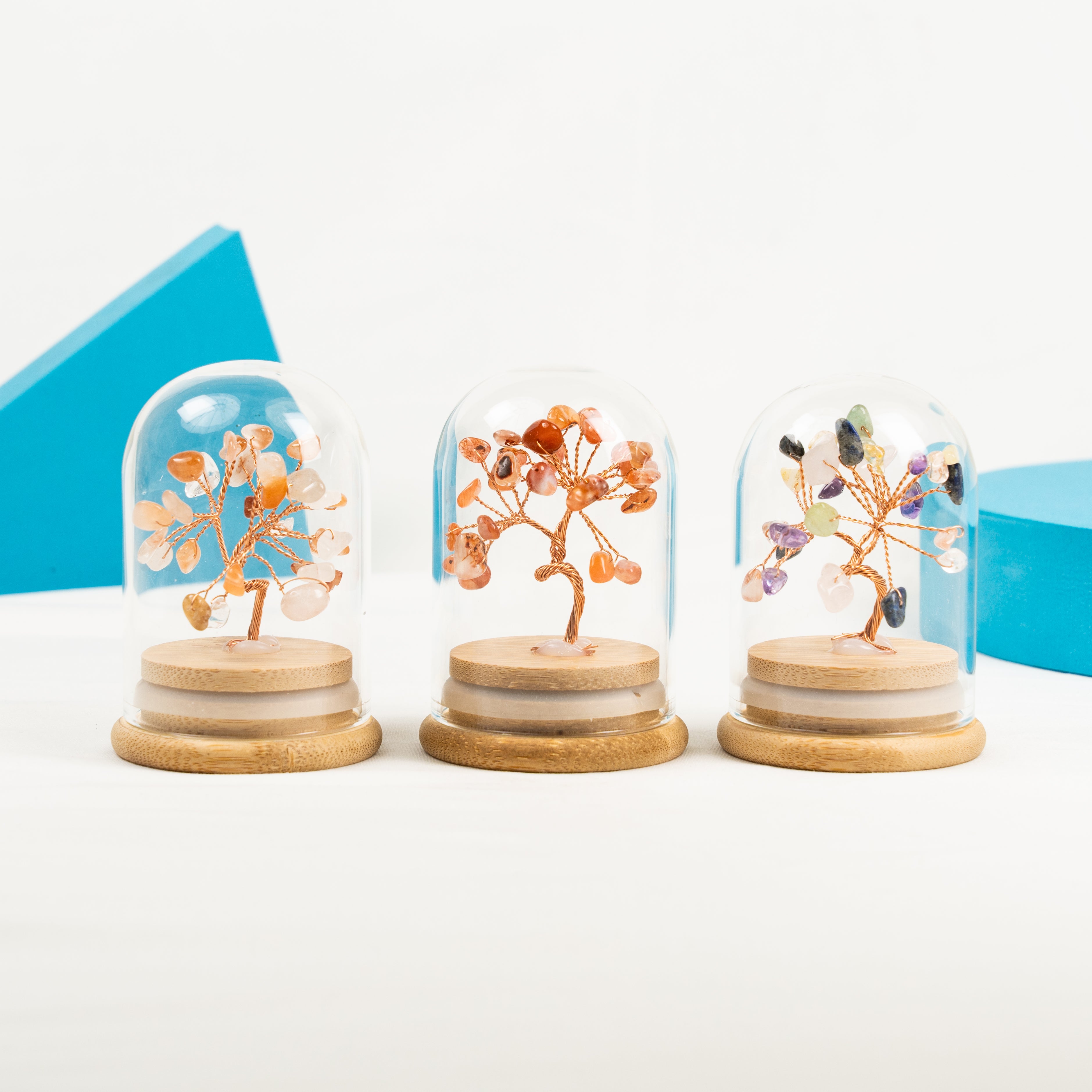 Mini Bottle Wish Tree