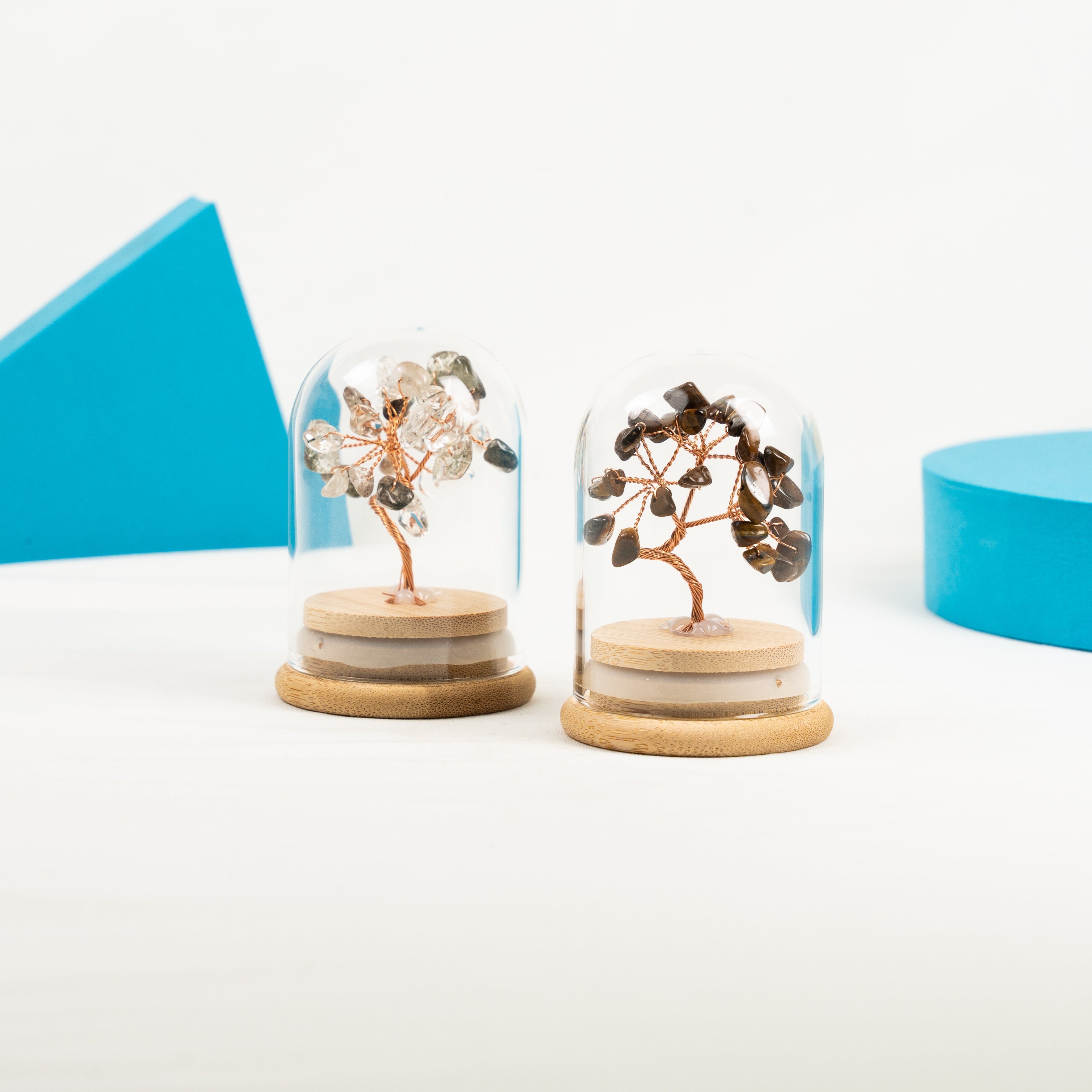 Mini Bottle Wish Tree