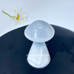 Selenite Mushroom